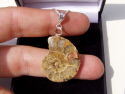 Ammonite Slice Necklaces Ammonite Slice Necklaces