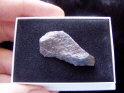 Gorgeous Canyon Diablo Meteorite