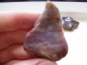 Petrified Wood Chunk