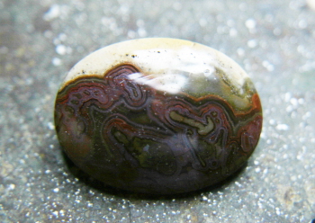 Indonesian Fossil Coral Brooch 