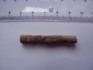 p1010042