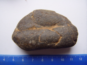 p101rt0020