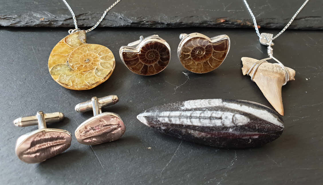 Mosasaur Tooth Fossil Necklace - Morocco, Fossil Jewelry | #537444656