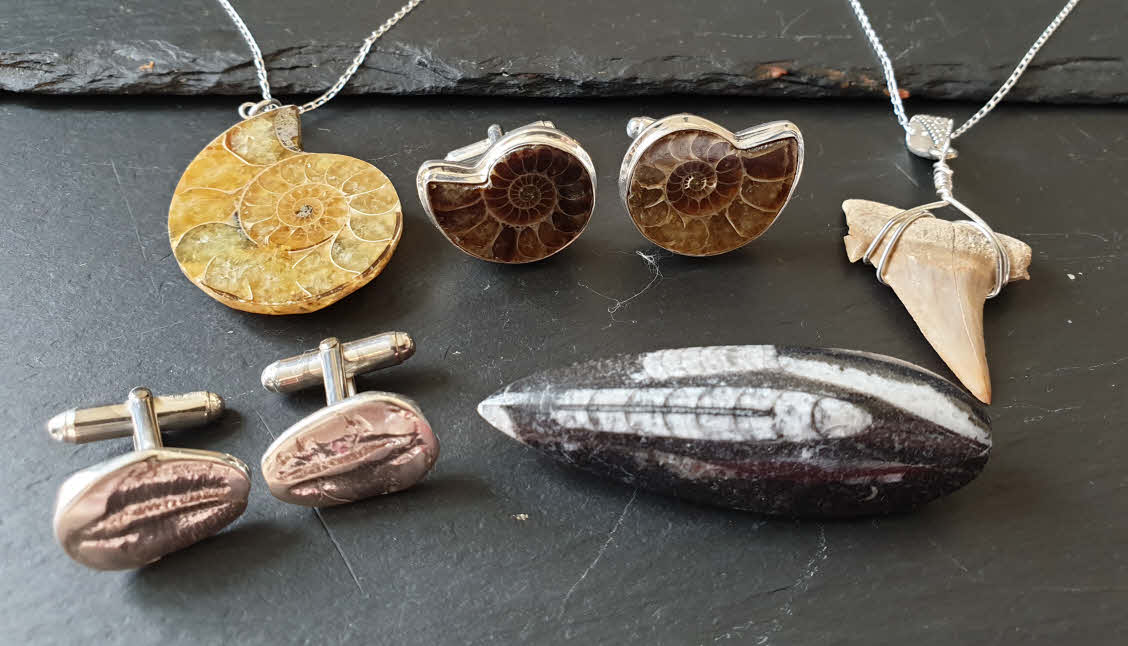 Top 58+ imagen fossil jewelry