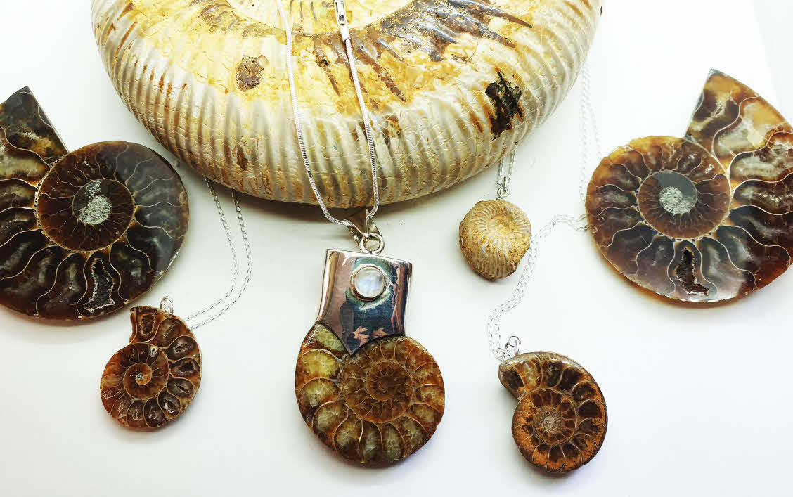 Fossil Ammonite Jewellery