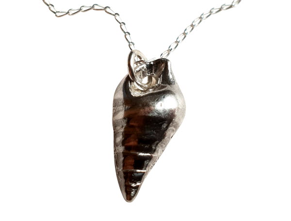 This Sterling Silver Shell Necklace is a gorgeous addition to your jewelry collection. 