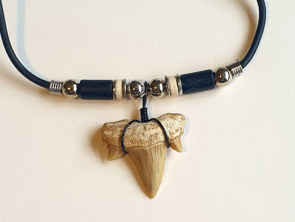 Blue Coconut Bead Shark Tooth Necklace – Sea Things Ventura