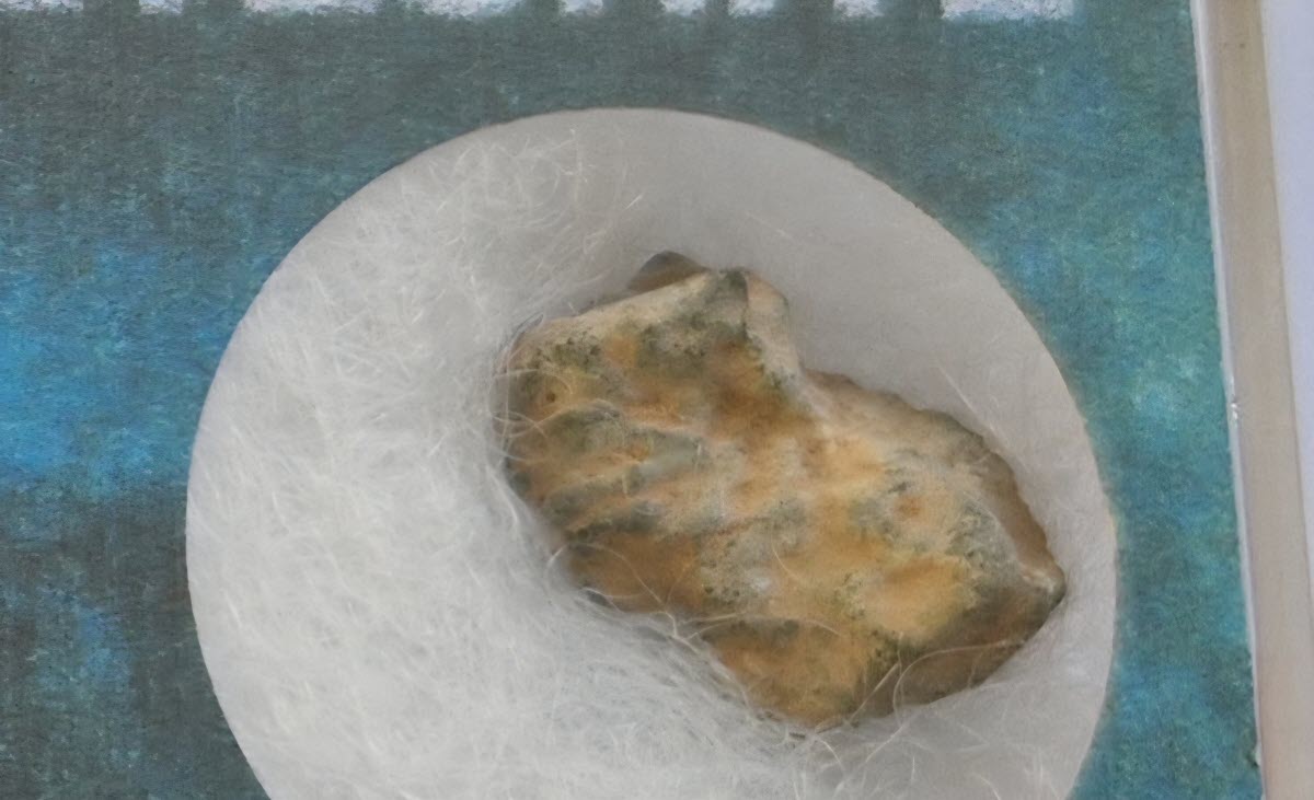 Moon Rock Fragment – Genuine Lunar Specimen
