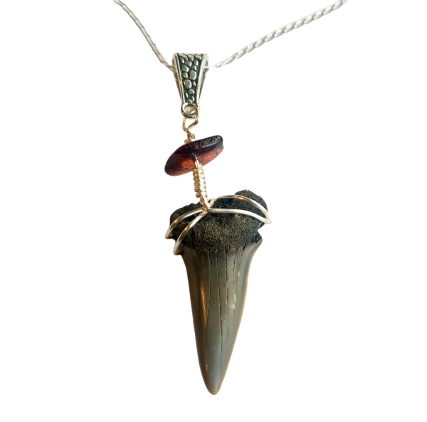 Brown Bead Adjustable Shark Tooth Necklace Fossil Teeth Black Band Jewelry 