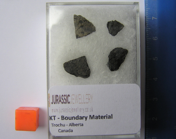 kt boundary dinosaurs