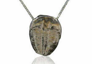Solid Silver Trilobite Necklace