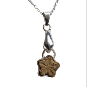 Fossil Crinoid Necklace